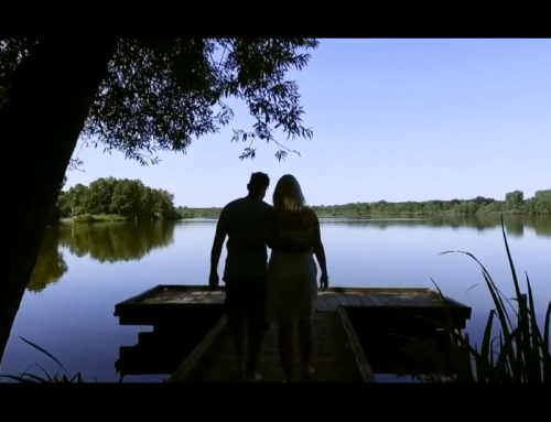 Engagement Video / Lovestory Nadine & Pierre